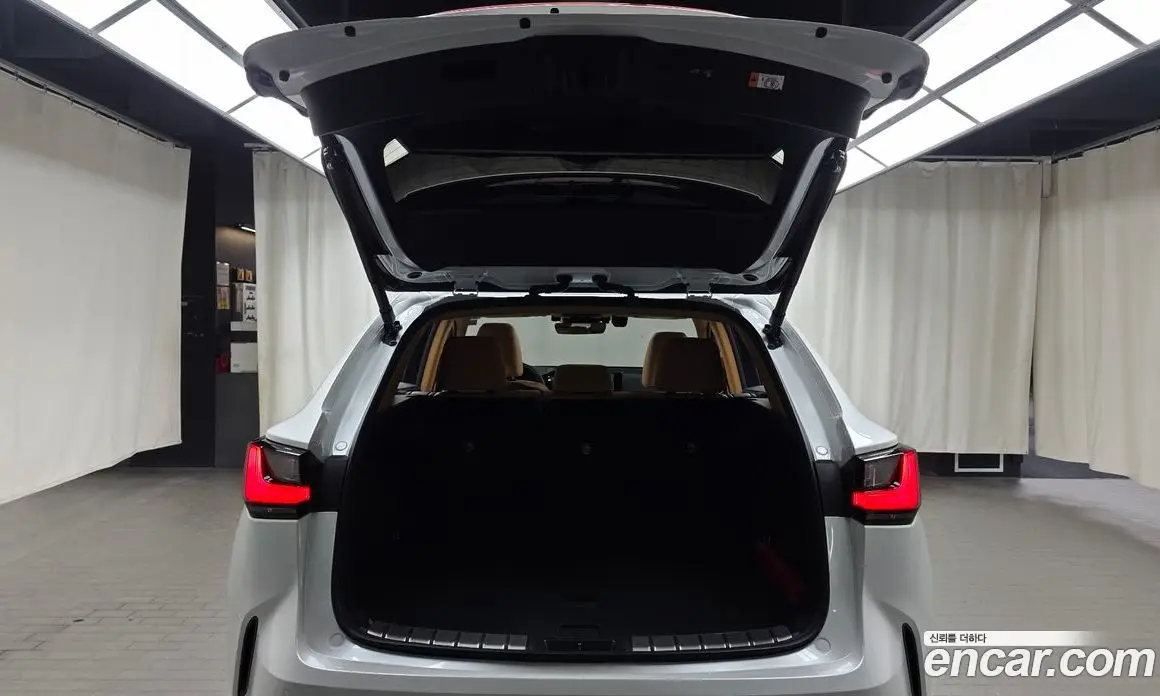 Lexus NX 2024 2.5 автомат (гидро), фото 22 Lexus NX 2024 2.5 автомат (гидро), фото 22