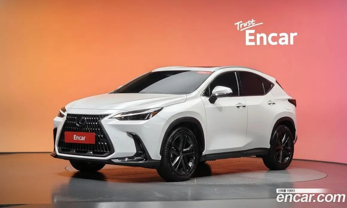 Lexus NX 2024 2.5 автомат (гидро), фото 31 Lexus NX 2024 2.5 автомат (гидро), фото 31
