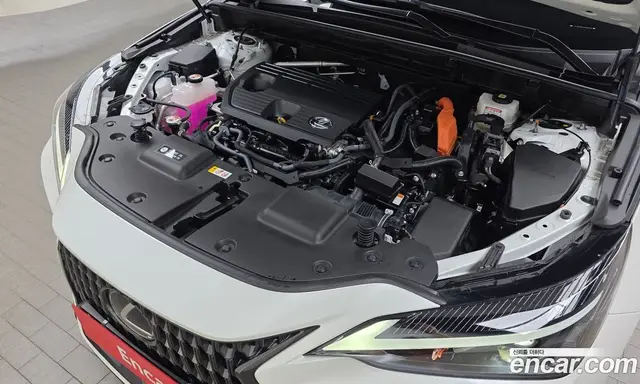 Lexus NX 2024 2.5 автомат (гидро), миниатюра 5 Lexus NX 2024 2.5 автомат (гидро), миниатюра 5