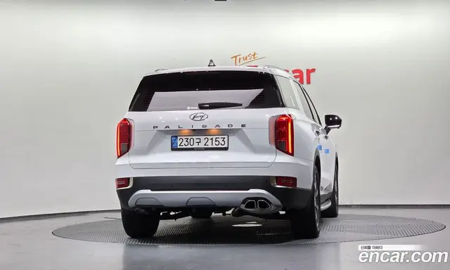 Hyundai Palisade 2021 3.8 автомат (гидро), миниатюра 4