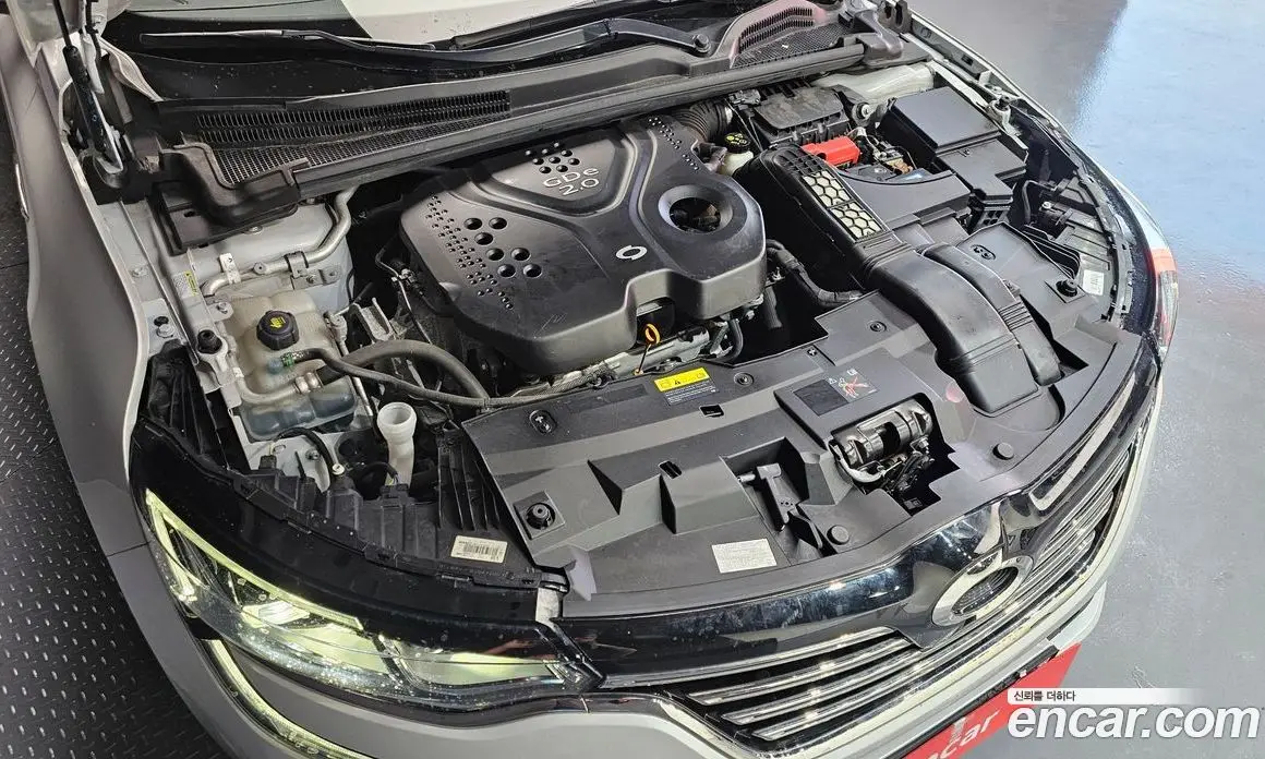 Renault (Samsung) SM6 2019 2.0 автомат (гидро), фото 6