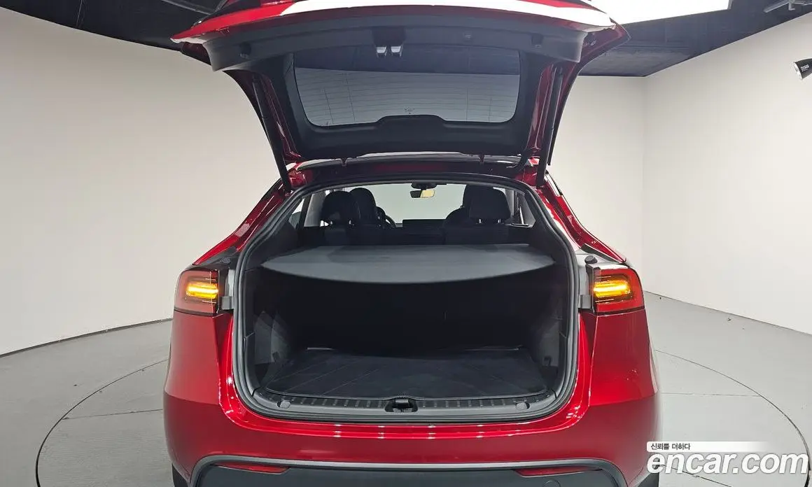 Tesla Model Y 2024 0.2 автомат (гидро), фото 25 Tesla Model Y 2024 0.2 автомат (гидро), фото 25