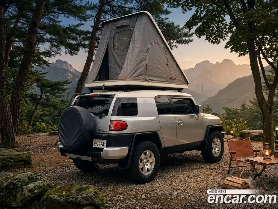 Toyota FJ Cruiser 2007 4.0 автомат (гидро), фото 20