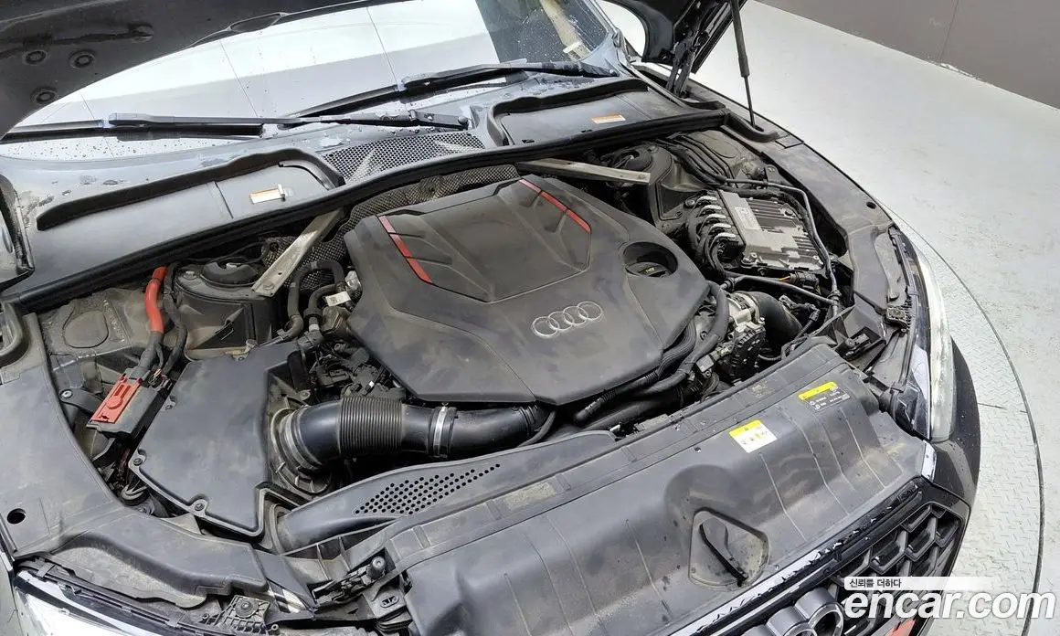 Audi S5 2021 3.0 автомат (гидро), фото 6 Audi S5 2021 3.0 автомат (гидро), фото 6
