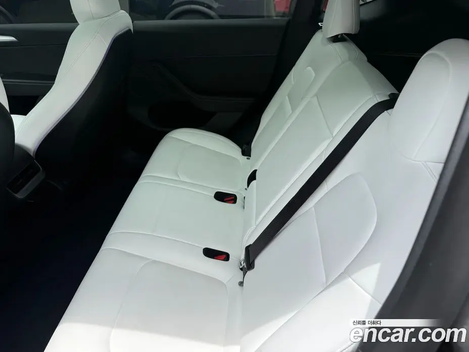 Tesla Model Y 2023 автомат (гидро), фото 14