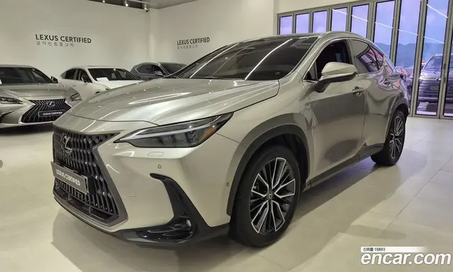 Lexus NX, 2025, 25 389 км Lexus NX, 2025, 25 389 км