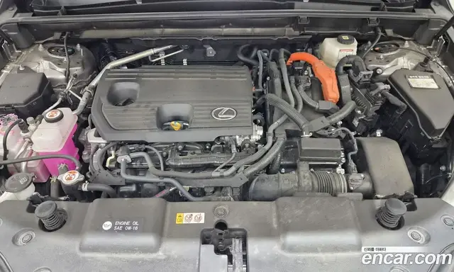 Lexus NX 2025 2.5 автомат (вариатор), миниатюра 6