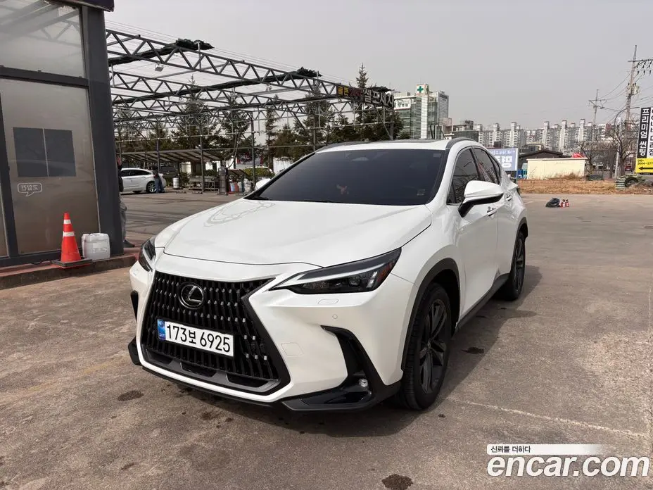 Lexus NX 2024 2.5 автомат (вариатор), фото 1 Lexus NX 2024 2.5 автомат (вариатор), фото 1