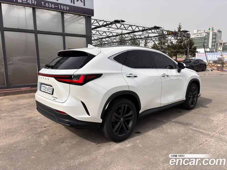 Lexus NX 2024 2.5 автомат (вариатор), фото 2 Lexus NX 2024 2.5 автомат (вариатор), фото 2