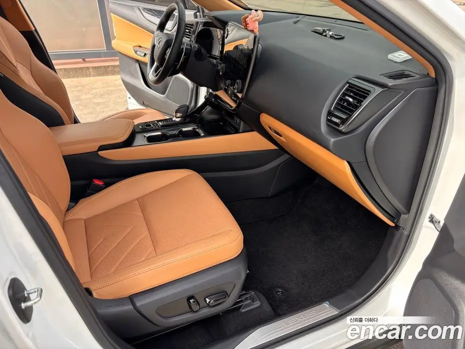 Lexus NX 2024 2.5 автомат (вариатор), фото 13 Lexus NX 2024 2.5 автомат (вариатор), фото 13