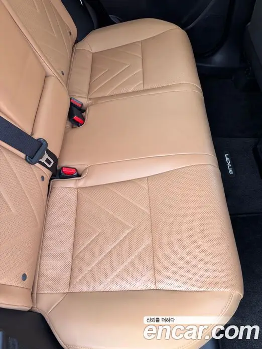 Lexus NX 2024 2.5 автомат (вариатор), фото 15 Lexus NX 2024 2.5 автомат (вариатор), фото 15