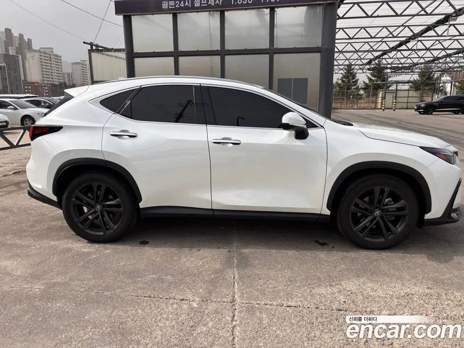 Lexus NX 2024 2.5 автомат (вариатор), фото 17 Lexus NX 2024 2.5 автомат (вариатор), фото 17