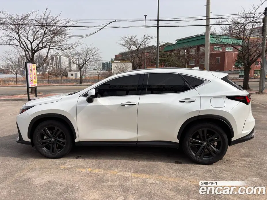 Lexus NX 2024 2.5 автомат (вариатор), фото 18 Lexus NX 2024 2.5 автомат (вариатор), фото 18