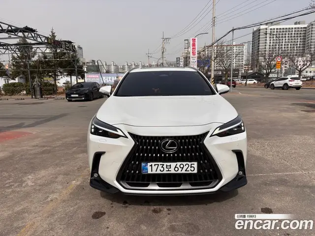 Lexus NX 2024 2.5 автомат (вариатор), миниатюра 3 Lexus NX 2024 2.5 автомат (вариатор), миниатюра 3
