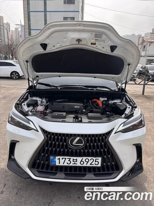 Lexus NX 2024 2.5 автомат (вариатор), миниатюра 5 Lexus NX 2024 2.5 автомат (вариатор), миниатюра 5