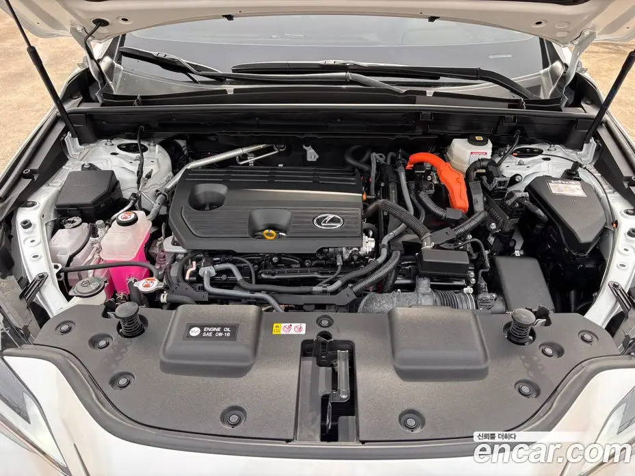 Lexus NX 2024 2.5 автомат (вариатор), фото 6 Lexus NX 2024 2.5 автомат (вариатор), фото 6