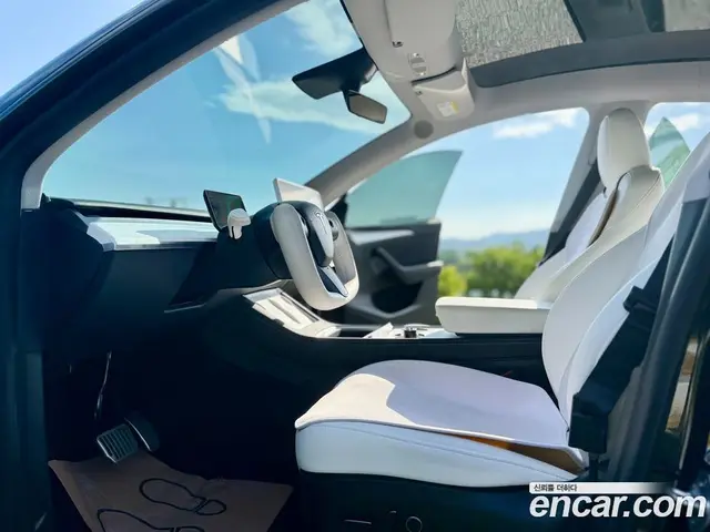 Tesla Model Y 2023 0.2 автомат (гидро), миниатюра 2