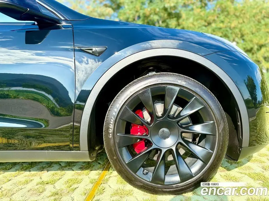 Tesla Model Y 2023 0.2 автомат (гидро), фото 4