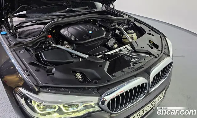 BMW 5 серия 2019 2.0 автомат (гидро), миниатюра 6 BMW 5 серия 2019 2.0 автомат (гидро), миниатюра 6
