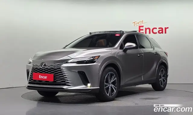 Lexus RX, 2025, 6 458 км