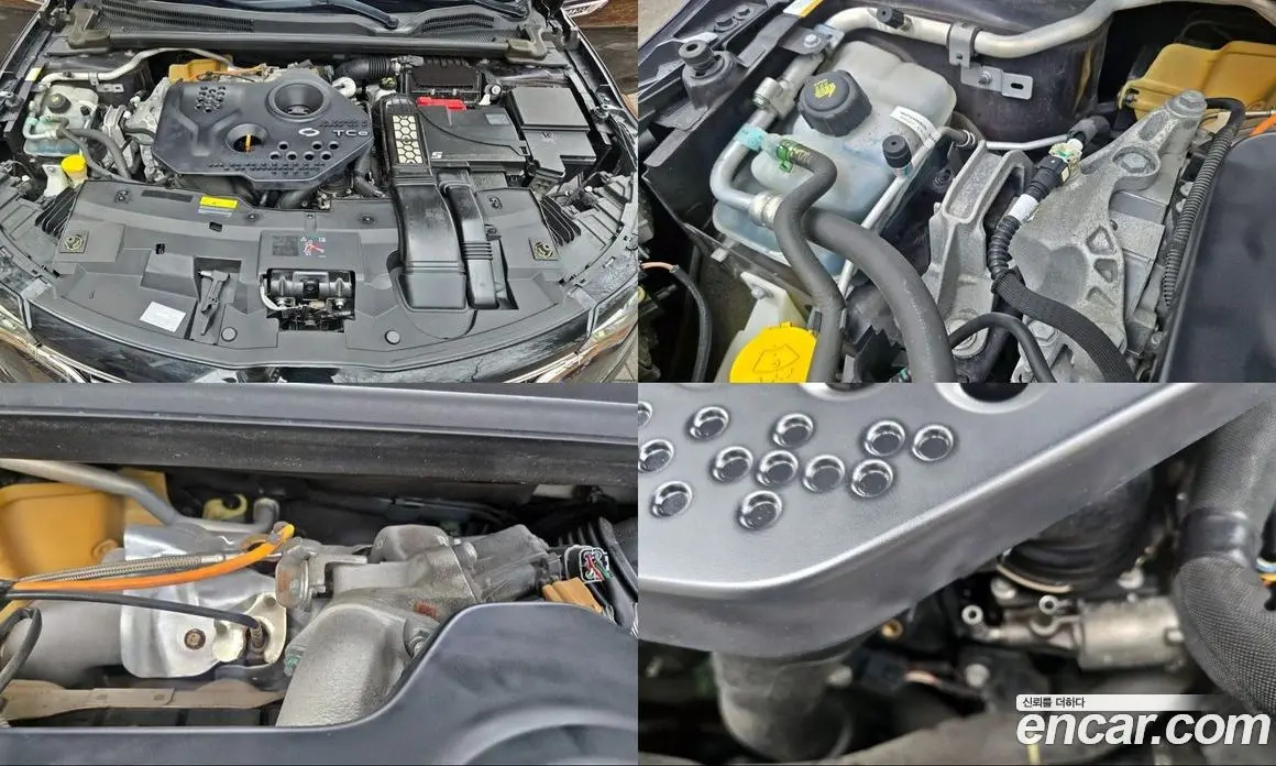 Renault (Samsung) SM6 2017 1.6 автомат (гидро), фото 20 Renault (Samsung) SM6 2017 1.6 автомат (гидро), фото 20