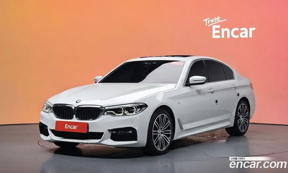 BMW 5 серия 2018 2.0 автомат (гидро), фото 34