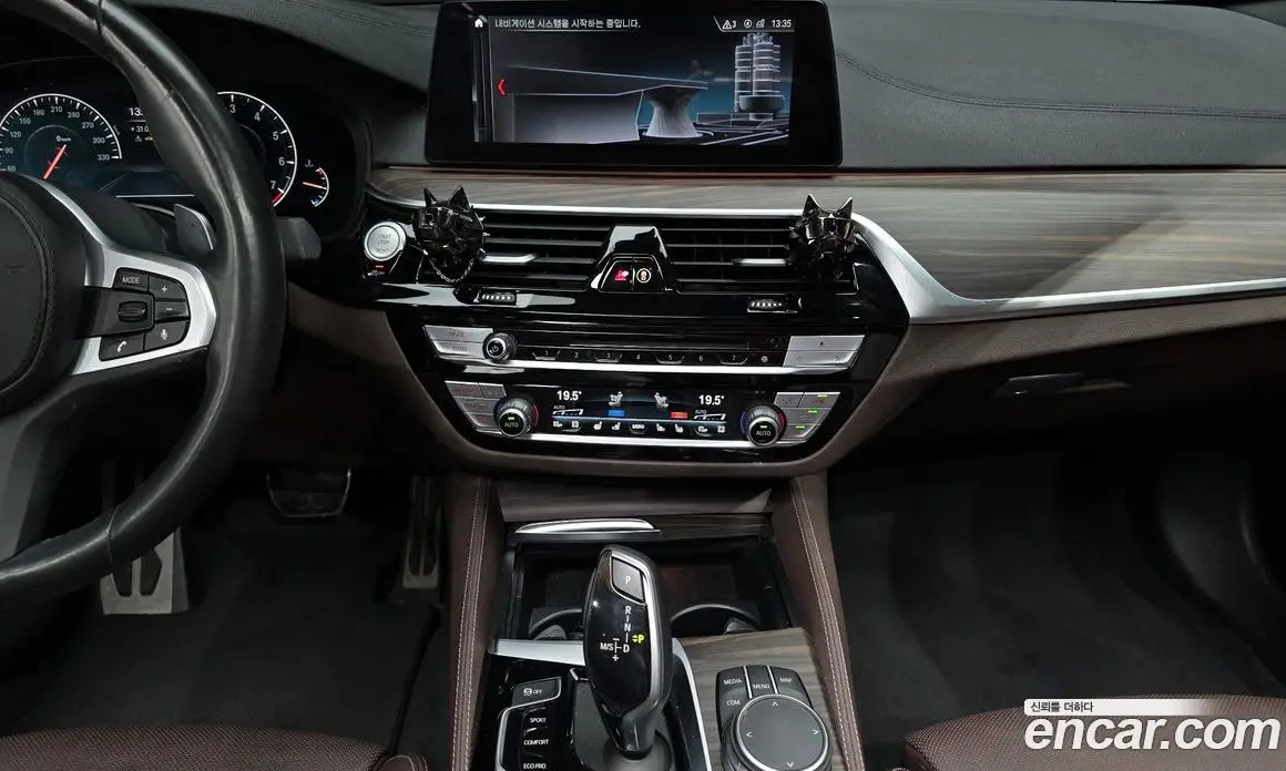 BMW 5 серия 2019 2.0 автомат (гидро), фото 15 BMW 5 серия 2019 2.0 автомат (гидро), фото 15