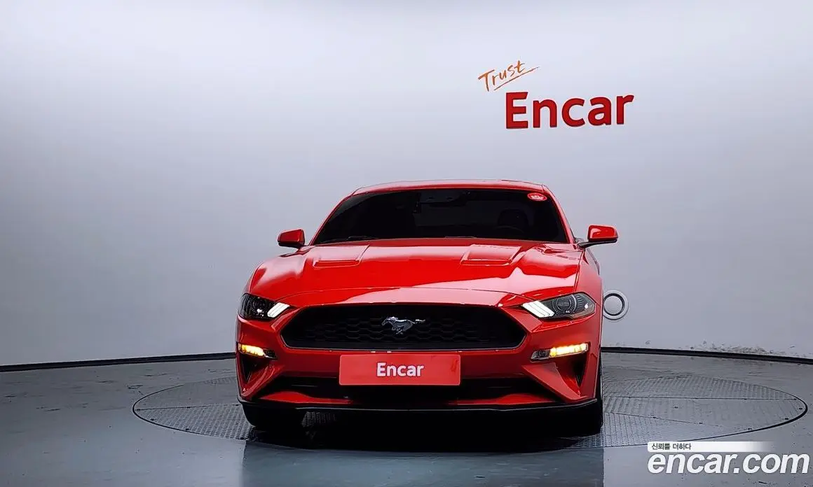 Ford Mustang 2019 2.3 автомат (гидро), фото 3