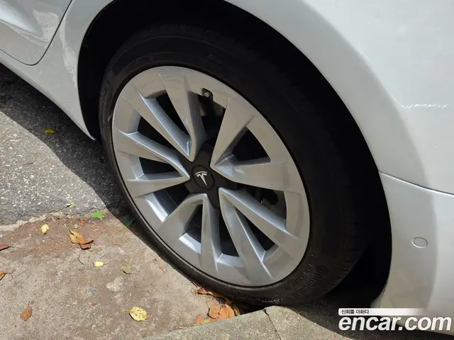 Tesla Model 3 2022 автомат (гидро), миниатюра 5 Tesla Model 3 2022 автомат (гидро), миниатюра 5