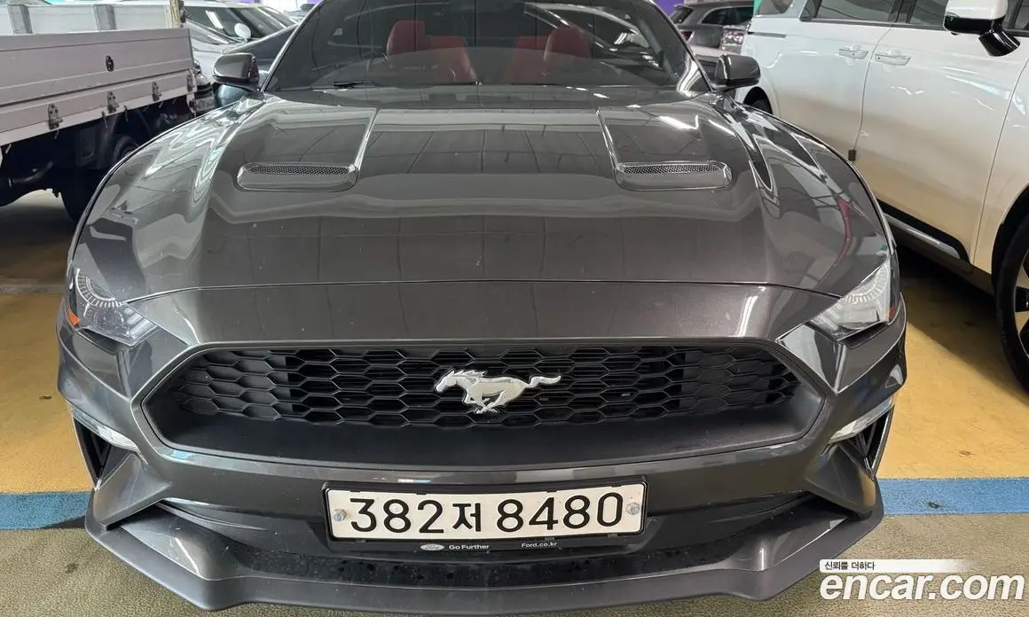 Ford Mustang 2019 2.3 автомат (гидро), фото 1 Ford Mustang 2019 2.3 автомат (гидро), фото 1