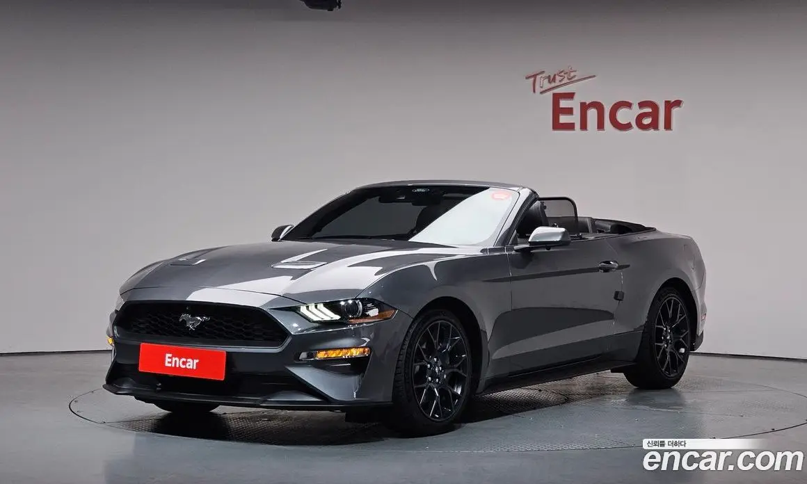 Ford Mustang 2023 2.3 автомат (гидро), фото 1 Ford Mustang 2023 2.3 автомат (гидро), фото 1