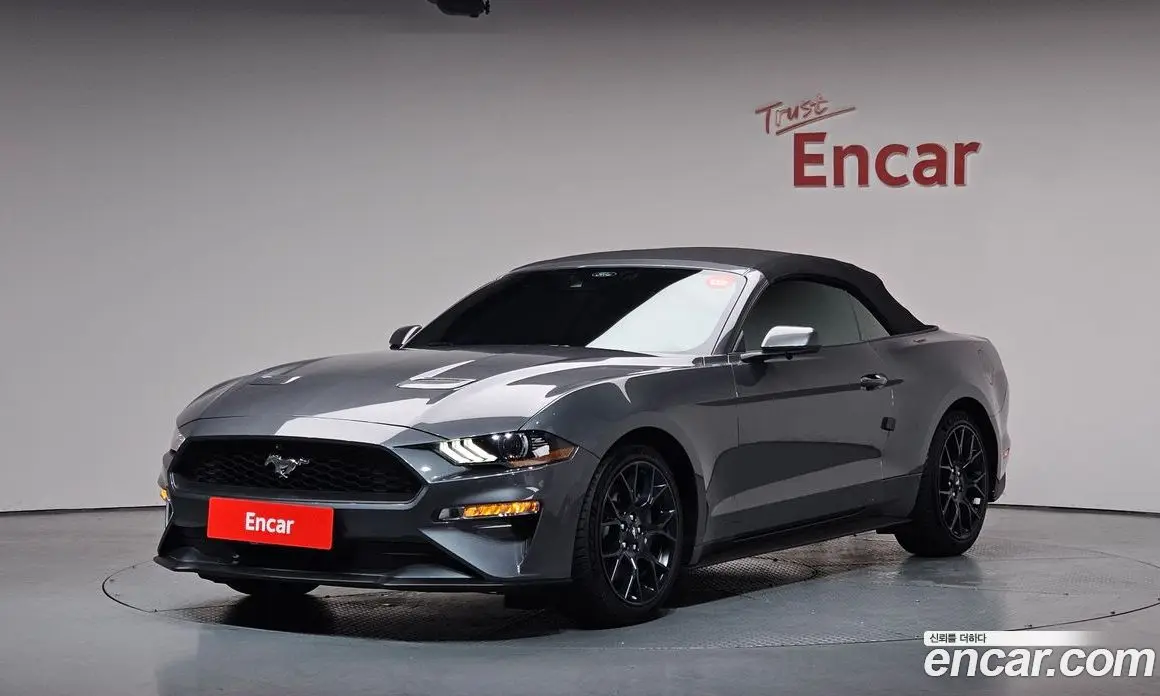 Ford Mustang 2023 2.3 автомат (гидро), фото 24 Ford Mustang 2023 2.3 автомат (гидро), фото 24