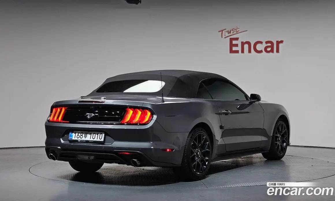 Ford Mustang 2023 2.3 автомат (гидро), фото 25 Ford Mustang 2023 2.3 автомат (гидро), фото 25