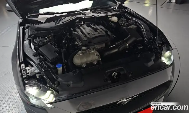 Ford Mustang 2023 2.3 автомат (гидро), миниатюра 6 Ford Mustang 2023 2.3 автомат (гидро), миниатюра 6
