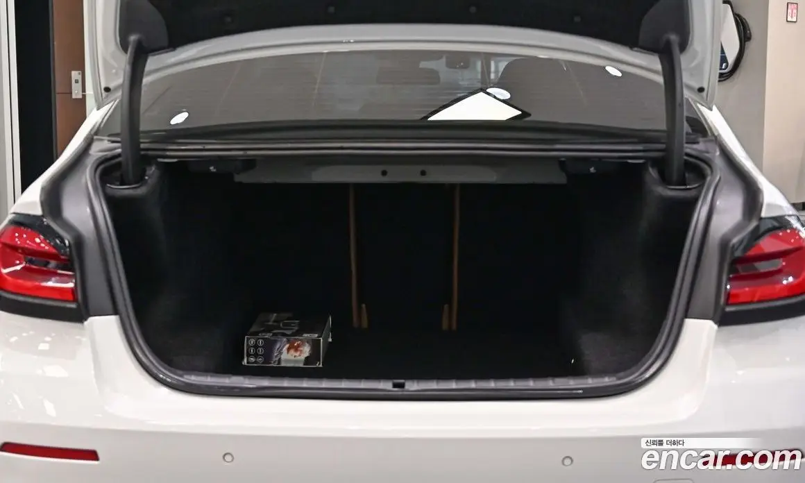 BMW 5 серия 2020 2.0 автомат (гидро), фото 7 BMW 5 серия 2020 2.0 автомат (гидро), фото 7