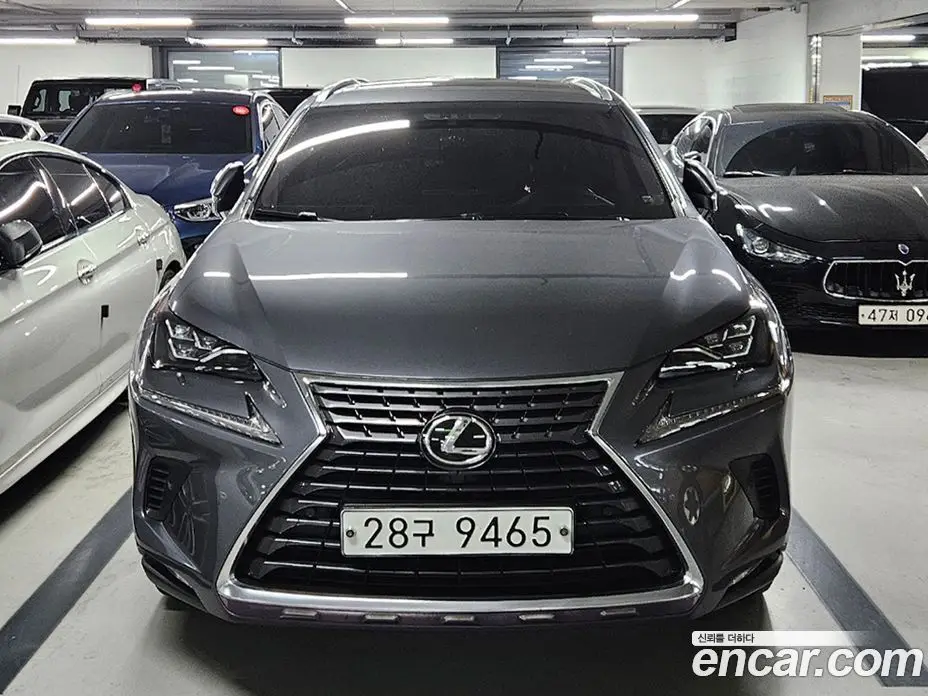 Lexus NX 2018 2.0 автомат (гидро), фото 1 Lexus NX 2018 2.0 автомат (гидро), фото 1