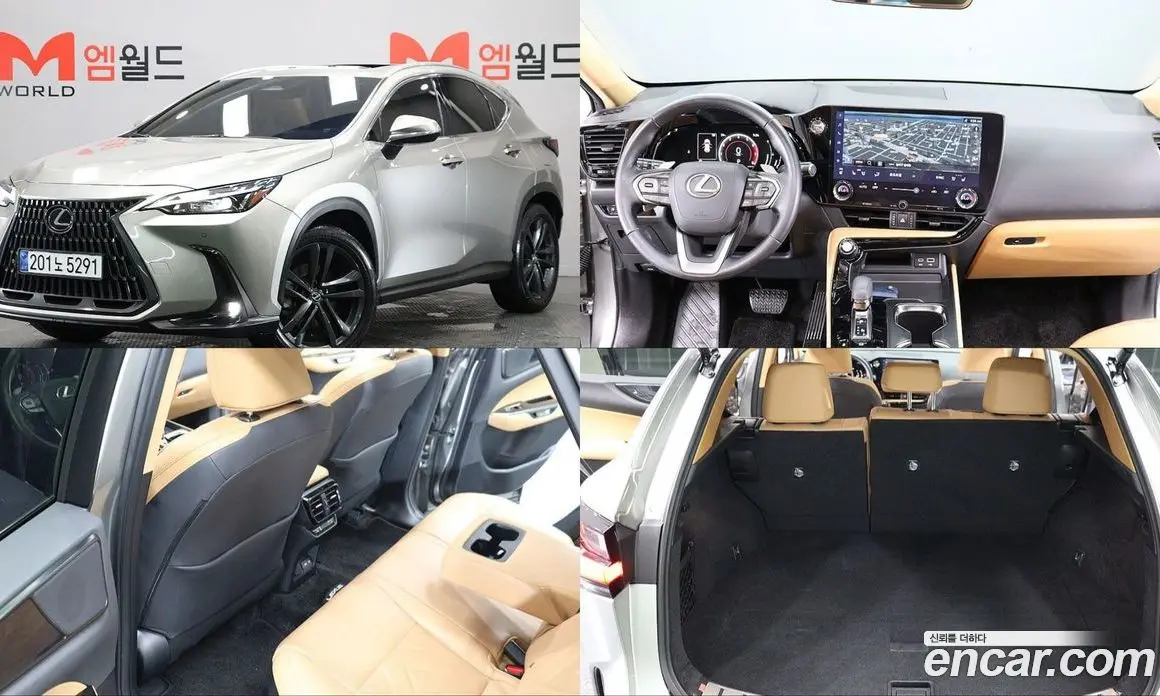 Lexus NX 2023 2.5 автомат (гидро), фото 1 Lexus NX 2023 2.5 автомат (гидро), фото 1