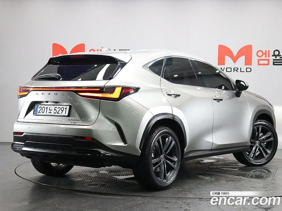 Lexus NX 2023 2.5 автомат (гидро), фото 4 Lexus NX 2023 2.5 автомат (гидро), фото 4