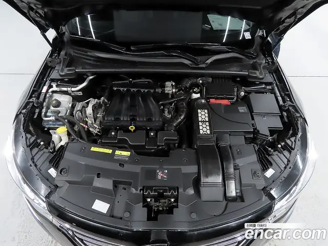 Renault (Samsung) SM6 2019 2.0 автомат (гидро), миниатюра 6