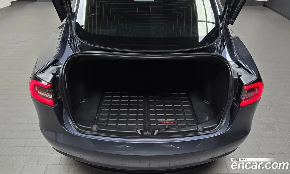 Tesla Model 3 2020 0.2 автомат (гидро), фото 29 Tesla Model 3 2020 0.2 автомат (гидро), фото 29