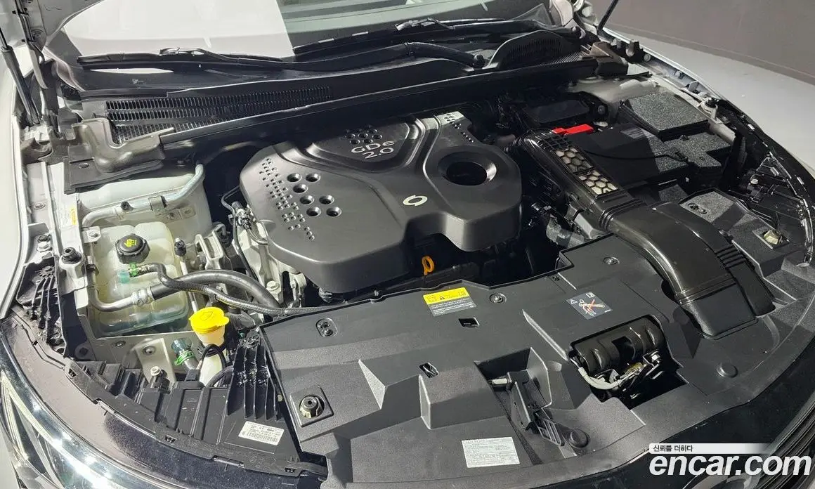 Renault (Samsung) SM6 2016 2.0 автомат (гидро), фото 6
