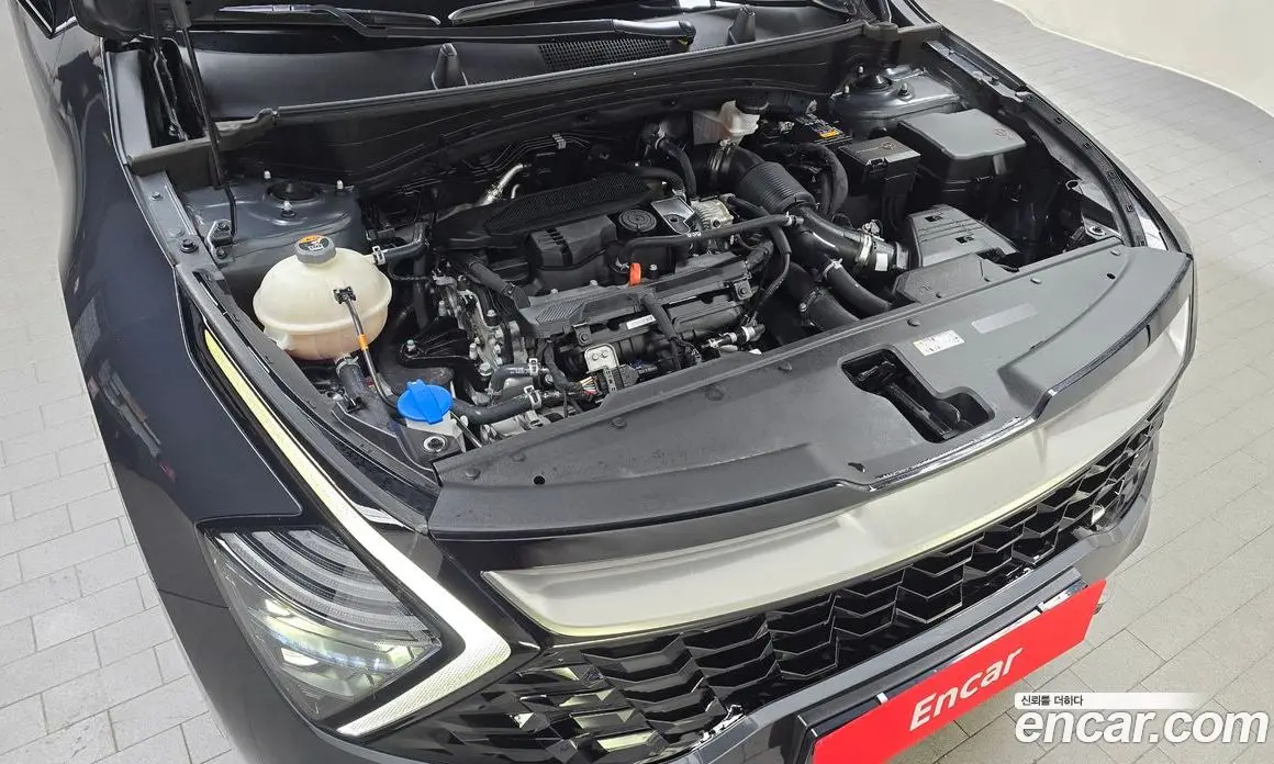 Kia Sportage 2022 1.6 автомат (гидро), фото 6 Kia Sportage 2022 1.6 автомат (гидро), фото 6