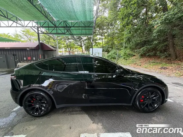 Tesla Model Y 2022 автомат (гидро), миниатюра 6 Tesla Model Y 2022 автомат (гидро), миниатюра 6