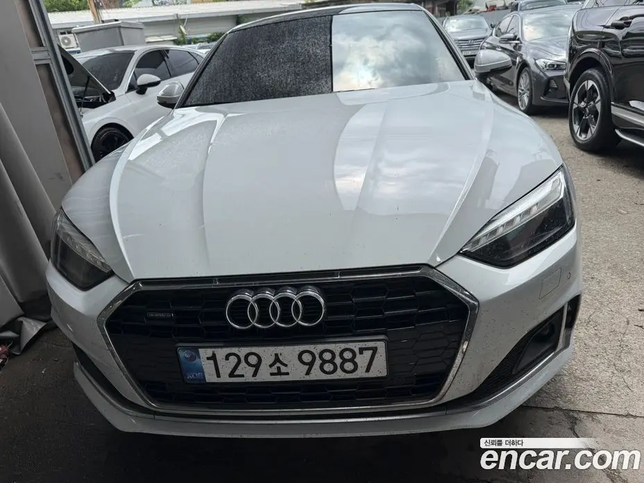 Audi A5 2023 2.0 автомат (гидро), фото 1 Audi A5 2023 2.0 автомат (гидро), фото 1