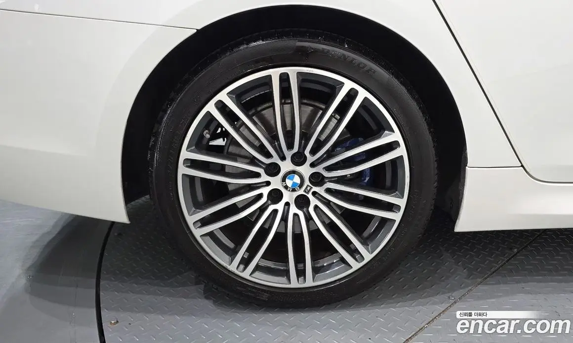 BMW 5 серия 2019 2.0 автомат (гидро), фото 5 BMW 5 серия 2019 2.0 автомат (гидро), фото 5