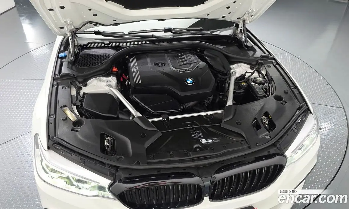 BMW 5 серия 2019 2.0 автомат (гидро), фото 6 BMW 5 серия 2019 2.0 автомат (гидро), фото 6