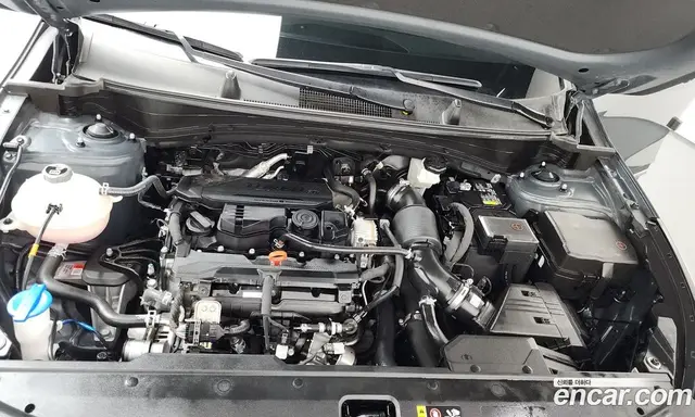 Kia Sportage 2024 1.6 автомат (гидро), миниатюра 6 Kia Sportage 2024 1.6 автомат (гидро), миниатюра 6