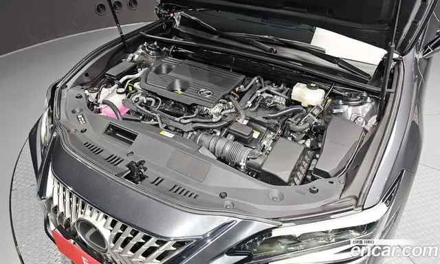 Lexus ES 2025 2.5 автомат (гидро), миниатюра 6 Lexus ES 2025 2.5 автомат (гидро), миниатюра 6