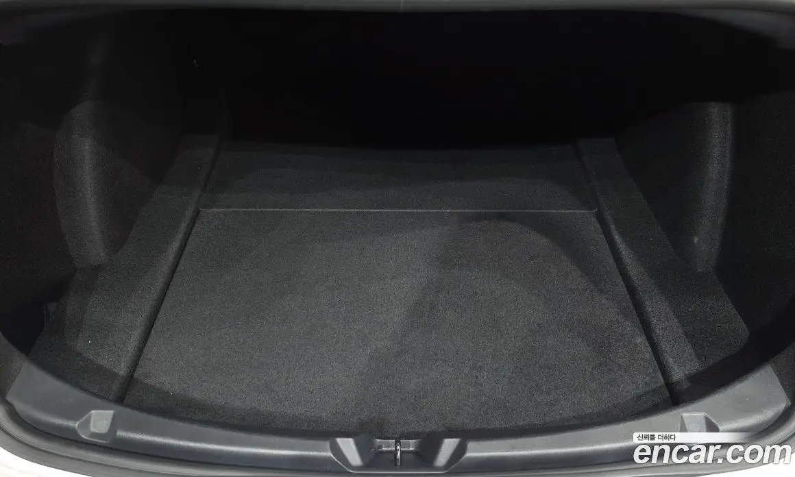 Tesla Model 3 2021 0.2 автомат (гидро), фото 25 Tesla Model 3 2021 0.2 автомат (гидро), фото 25
