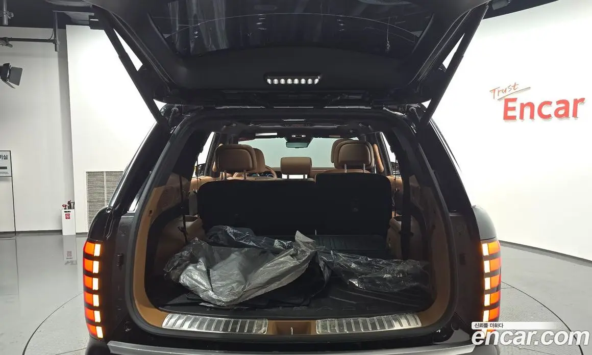 Hyundai Palisade 2025 2.5 автомат (гидро), фото 25 Hyundai Palisade 2025 2.5 автомат (гидро), фото 25